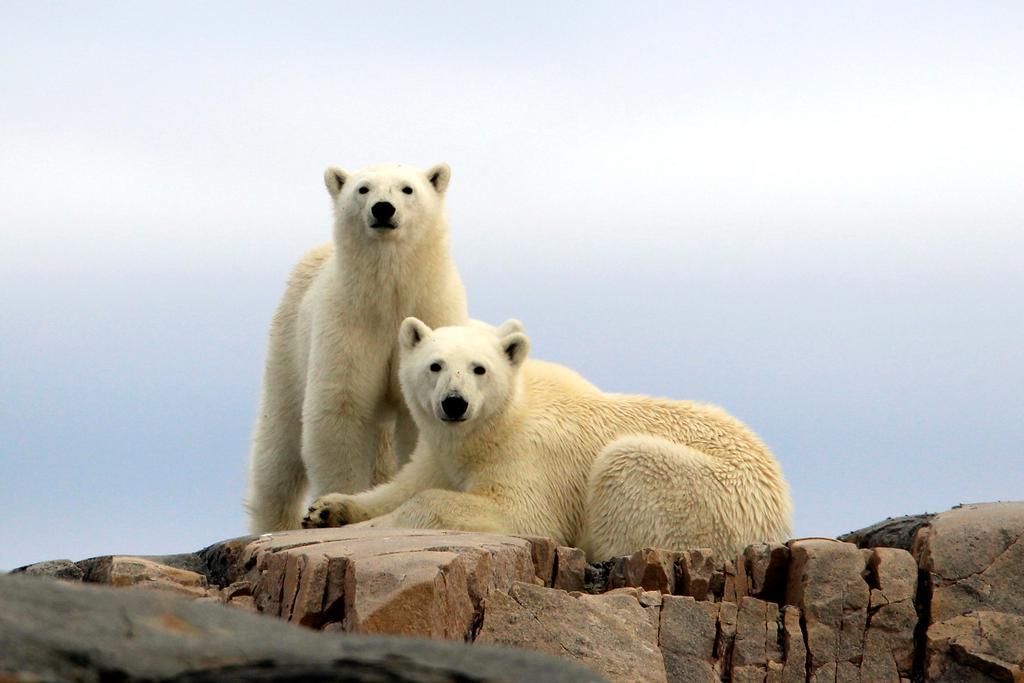 Radisson Blu Polar Hotel, Spitsbergen Лонгйир Экстерьер фото